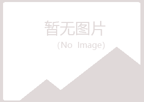 铁岭冰夏金属有限公司